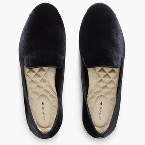 Birdies 9.5 - The Starling